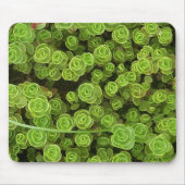 Plant van de Groene Sedum Garden Muismat (Voorkant)