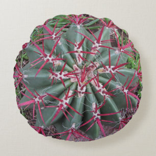 Plant van de zuidwestelijke woestijn Foto Red Barr Rond Kussen