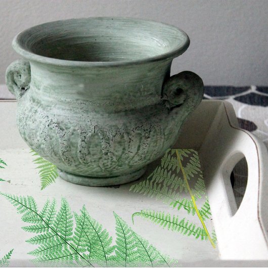  Plant van Fern Botanische loszijde Tissuepapier