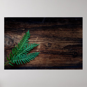 Plant van fern poster