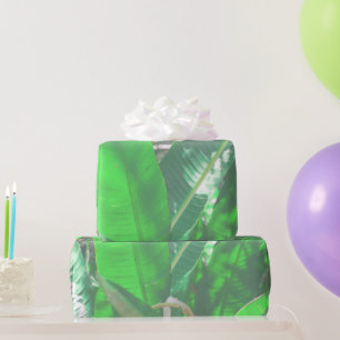 Plant van het type Groene bladbanaan verlaat paste Cadeaupapier