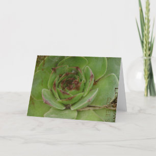 Plant van kippen en kippen met textiel kaart