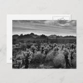 Plant woestijn briefkaart (Voorkant / Achterkant)