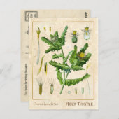  Plant zonder flesje Briefkaart (Voorkant / Achterkant)