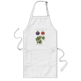 Plantaardige afbeelding Vijgenboom Ficus Carica Lang Schort