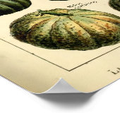 plantaardige kunst door Adolphe Millot Poster (Hoek)