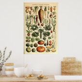  plantaardige kunst door Adolphe Millot Poster (Keuken)