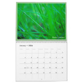 Plantaardige prijs 2021 kalender (Jan 2026)