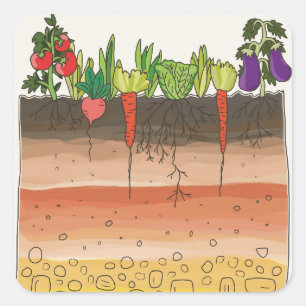 Plantaardige tuin grond aardlagen natuur kunst vierkante sticker