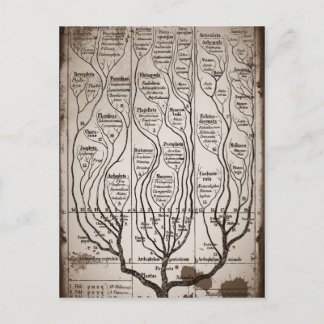 Plantae Protista Animalia Briefkaart