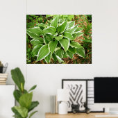 Plantainlelie Hosta Plant Bladeren Poster (Thuiskantoor)