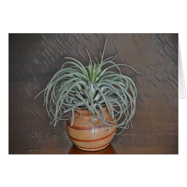 Plante aérien (Devant Horizontal)