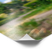 Plante Allium Photo Prints (Coin)