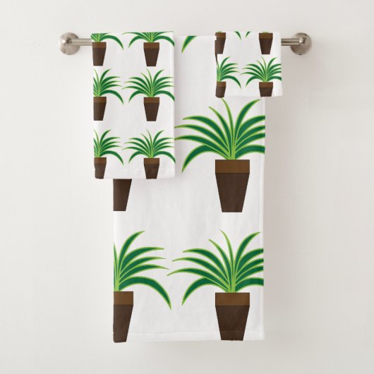 Plante araignée (En situation)