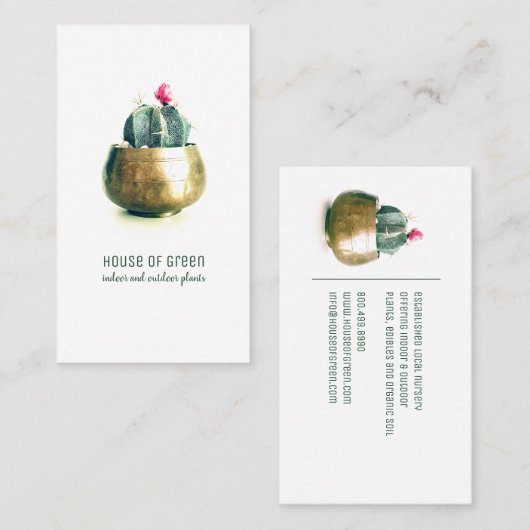 Plante de Cactus Succulent Carte de visite de pépi (Devant / Derrière)