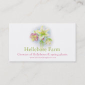 Plante de ferme Hellebore fournisseurs carte de vi (Devant)