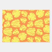 Plante de feuille Monstera Botanique en Jaune et O (Devant)