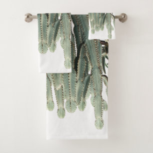 Plante de Pale Green Cactus