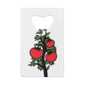 Plante de tomate Légumes mal foncé (Dos)