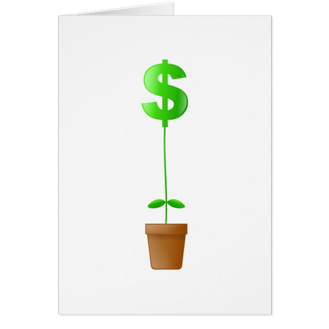 Plante dollar (Devant)