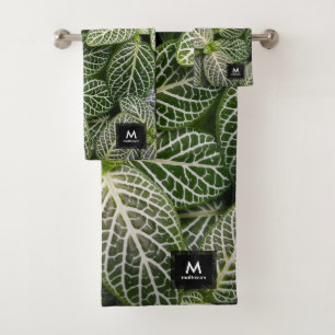 Plante en mosaïque Fittonia avec Feuilles variés