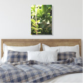 Plante poules et pousses sur toile (Insitu(Chambre))