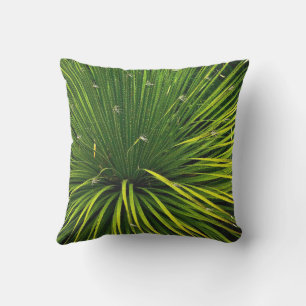 PLANTE SOTOL VERT / COUSSIN EXTÉRIEUR
