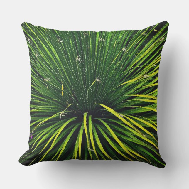 PLANTE SOTOL VERT / COUSSIN EXTÉRIEUR (Recto)