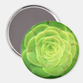 Plante vert Succulent Joli aimant rond (Recto/Verso)