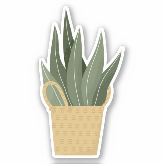 Plante verte en pot dans une boîte autocollant tra (Devant)