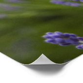 PLANTEN 2 POSTER (Hoek)