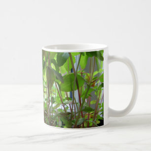 Planten blijven zaaigoed kweken koffiemok