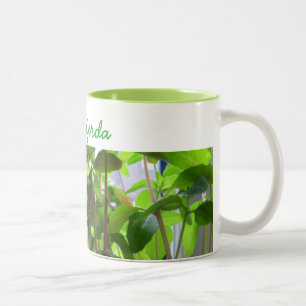 Planten blijven zaaigoed kweken met naam tweekleurige koffiemok