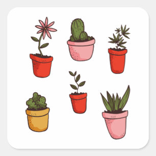 Planten en Succulents Cute Vierkante Sticker
