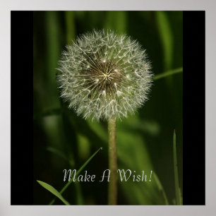 Planten en waterbeelden poster