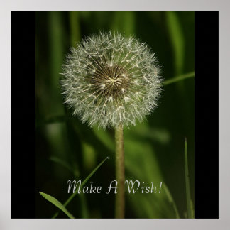 Planten en waterbeelden poster