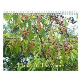 Planten in de Shore-kalender Kalender