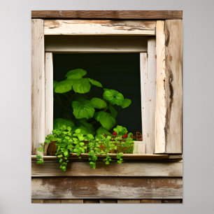Planten in rustiek venster met verweerd hout Poster