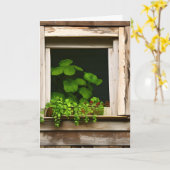 Planten in Rustiek Venster Verjaardag Kaart (Gele Bloem)