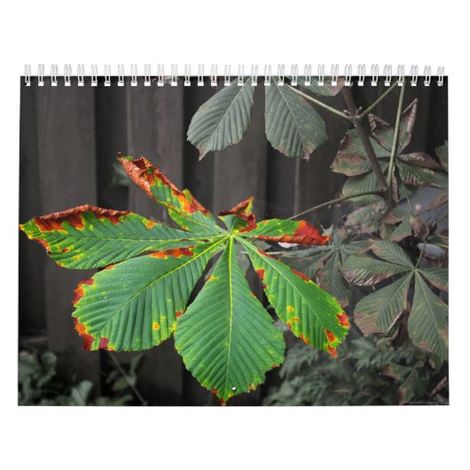 Planten Kalender (Hoes)
