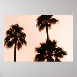 PLANTEN MET EEN LAGE HOTOGRAFIE PALM POSTER