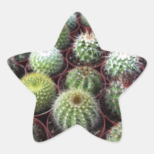 Planten met groene cactus ster sticker