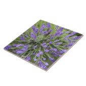 Planten Tegeltje (Zijkant)