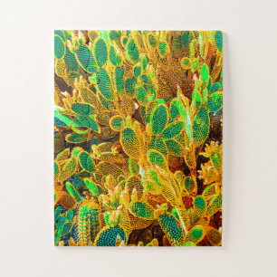 Planten van Afrikaanse woestijncactus Prickly Pear Legpuzzel