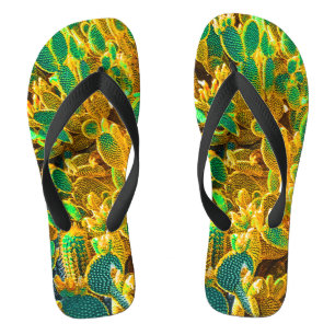 Planten van Afrikaanse woestijncactus Prickly Pear Teenslippers