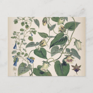 Planten van de Himalaya-botanie Feestdagenkaart