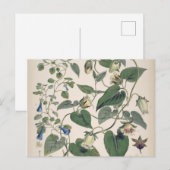 Planten van de Himalaya-botanie Feestdagenkaart (Voorkant / Achterkant)