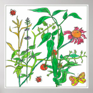 Planten van tuinen Coneflower Ladybug Butterfly Poster
