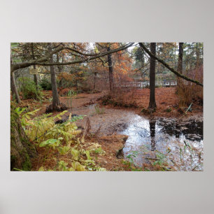 planten van tuinherfstbomen en watervijver. poster