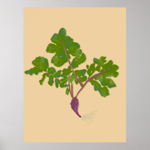 Planten voor de tuinbouw van landbouwgewassen poster
